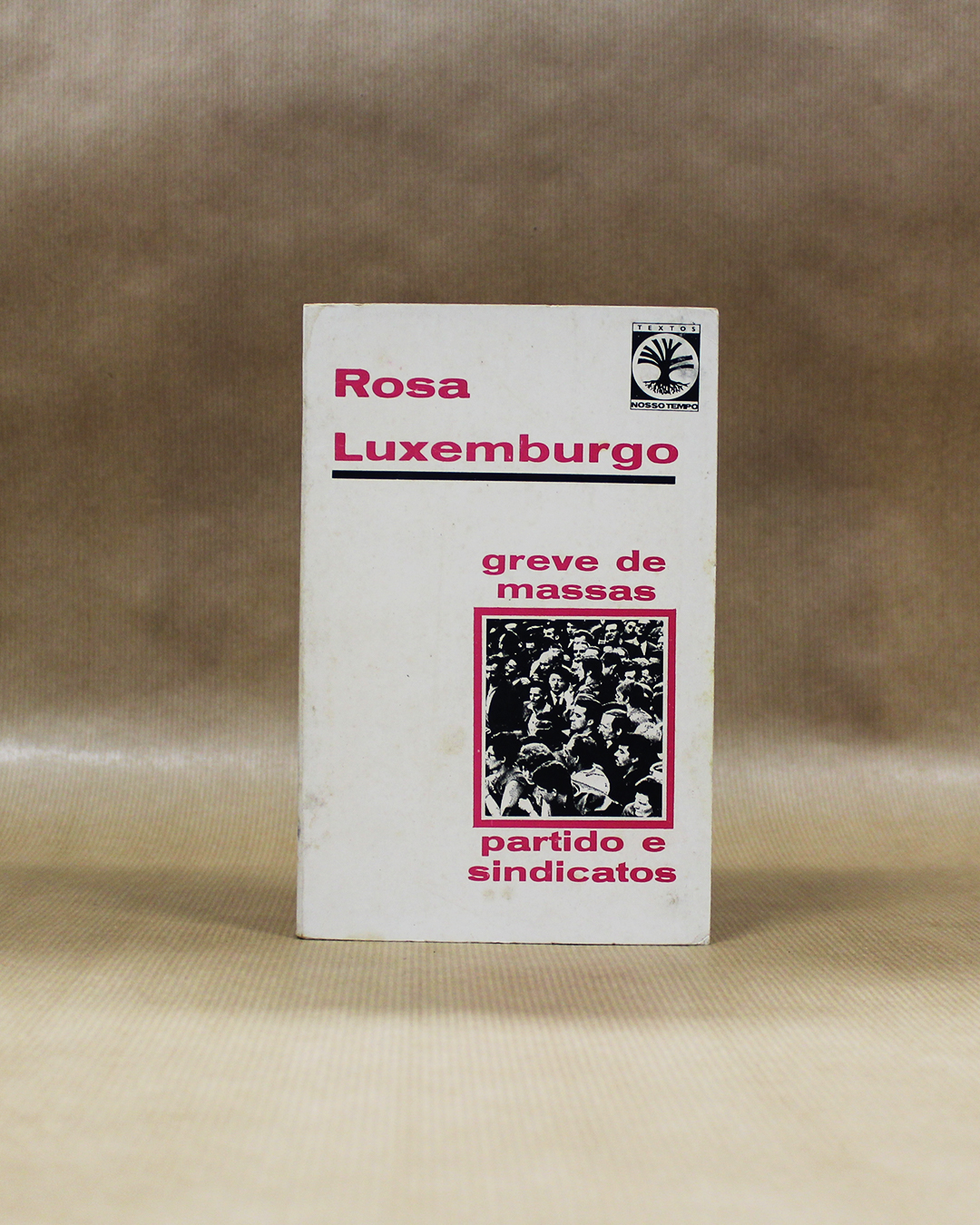 Rosa Luxemburgo - Greve de Massas - Partidos e Sindicatos