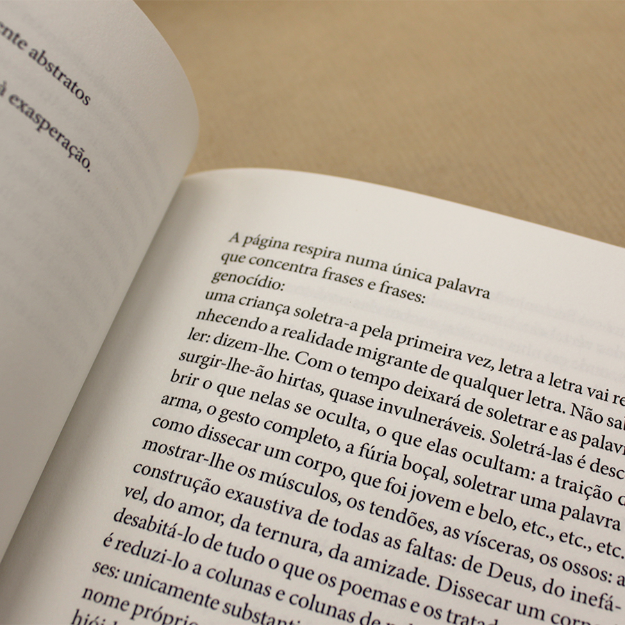 No Íntimo De Uma Gramática Morta - Image 3