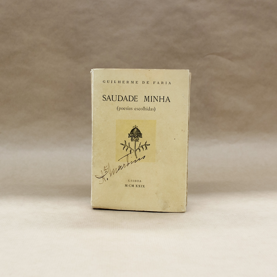 Saudade Minha (poesias escolhidas)