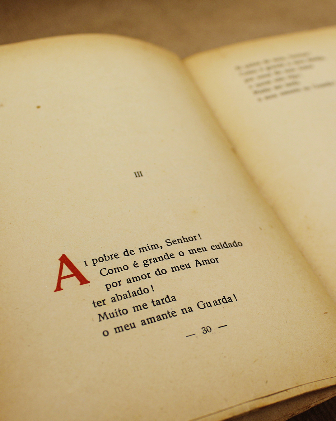 Bailya D'Amor - Image 3