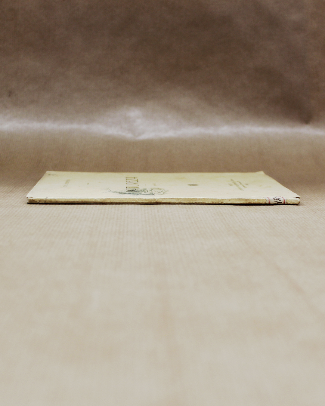 Natureza - Image 2