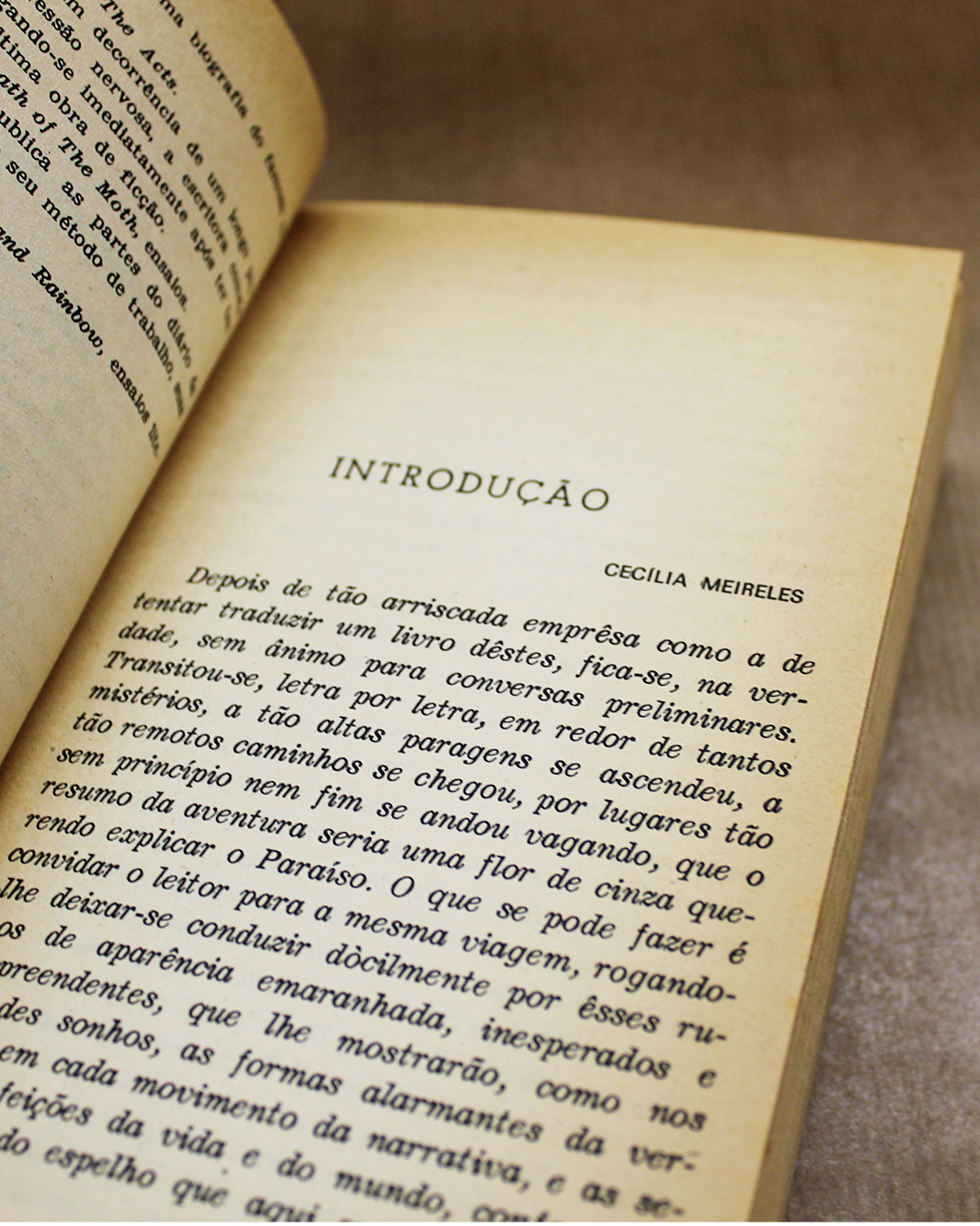 Orlando - uma biografia - Image 2