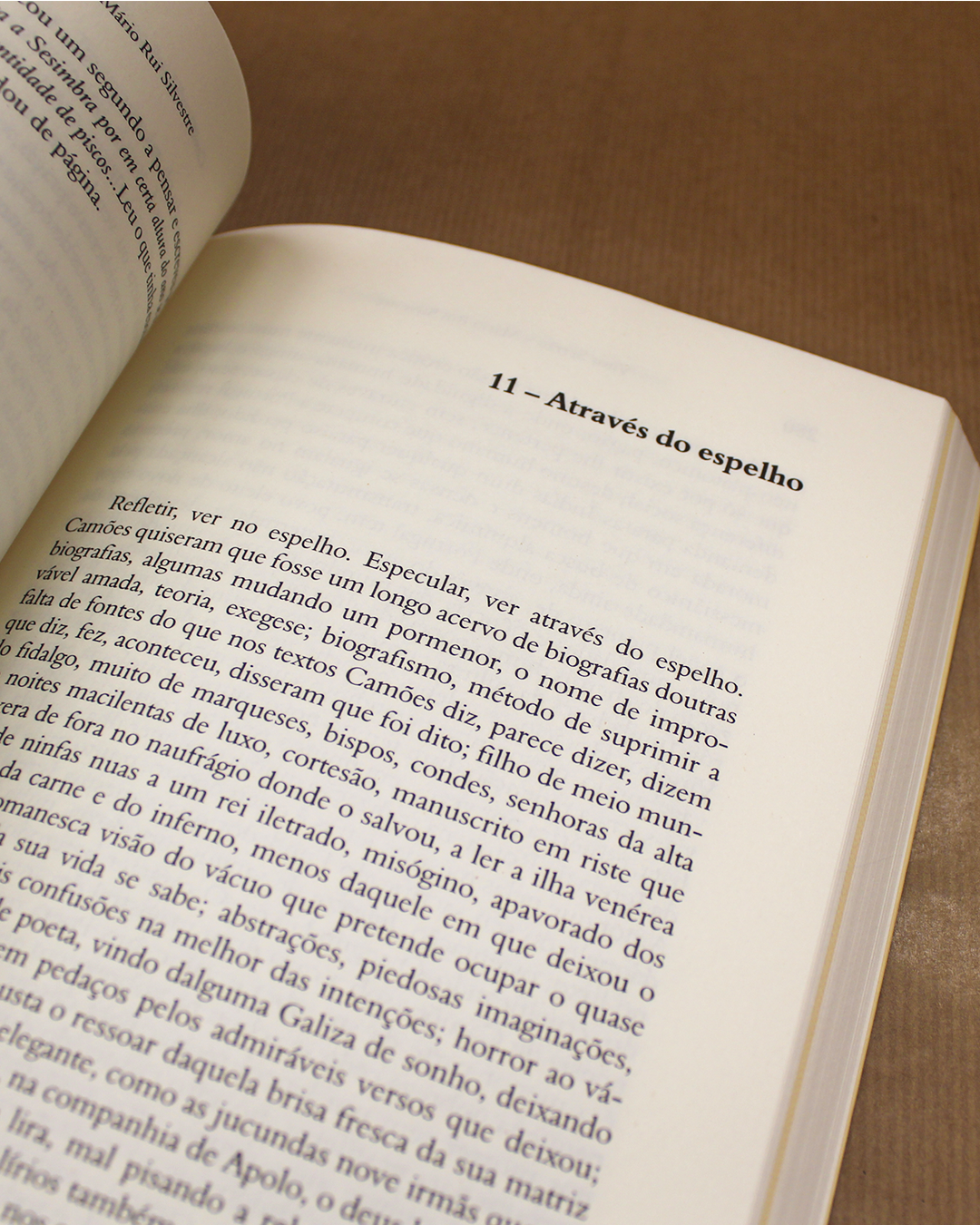 Camões. Altos Cumes, Sabelicastro e Correlatos - Image 3